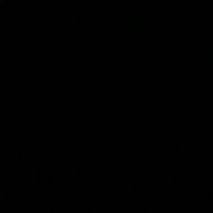 Meet your Posher, Sofia